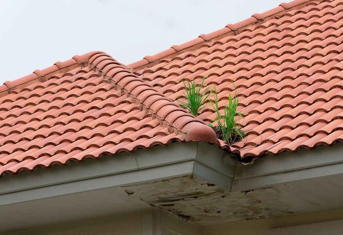 How Can I Tell if My Roof Needs Repair?