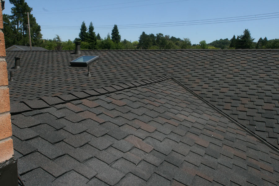 Does Your Roof Need New Shingles?