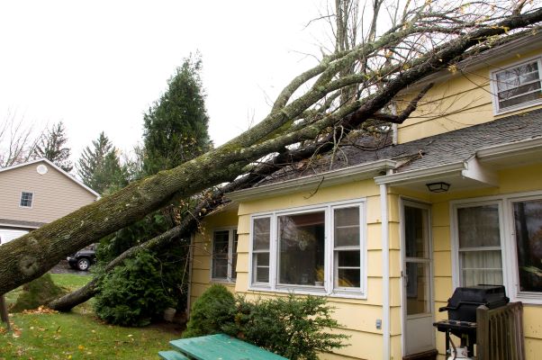 Signs You May Need East Bay Gutter Repair