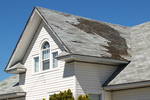 Emergency East Bay Roof Repair Tips Every Homeowner Should Know