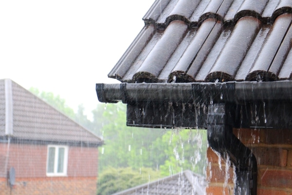 Protecting Your Home: The Importance of Bay Area Gutter Repair Services